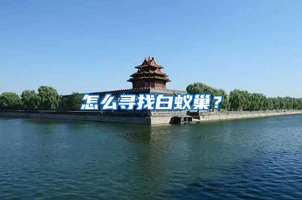 怎么尋找白蟻巢?