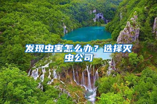 發(fā)現(xiàn)蟲害怎么辦?選擇滅蟲公司