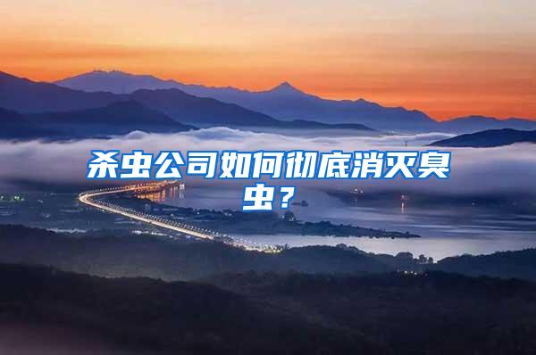 殺蟲(chóng)公司如何徹底消滅臭蟲(chóng)?