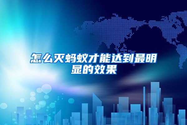 怎么滅螞蟻才能達到最明顯的效果