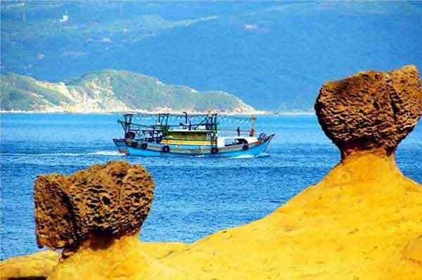 大型商場(chǎng)超市蟑螂防治方案