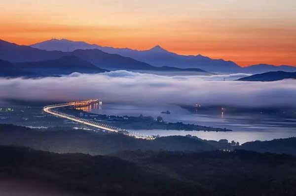 告訴您賓館滅鼠方法