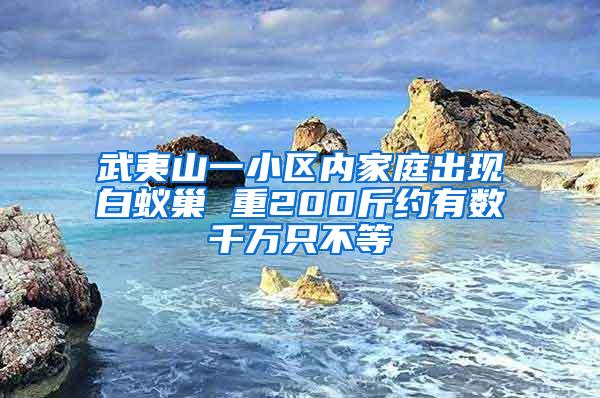 武夷山一小區內家庭出現白蟻巢 重200斤約有數千萬只不等