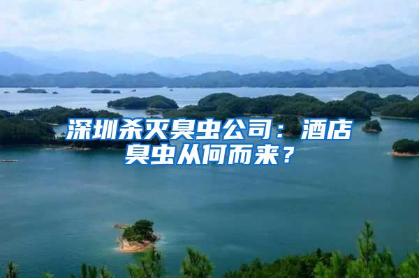 深圳殺滅臭蟲(chóng)公司：酒店臭蟲(chóng)從何而來(lái)？