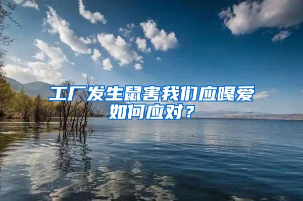 工廠發(fā)生鼠害我們應(yīng)嘎愛如何應(yīng)對?