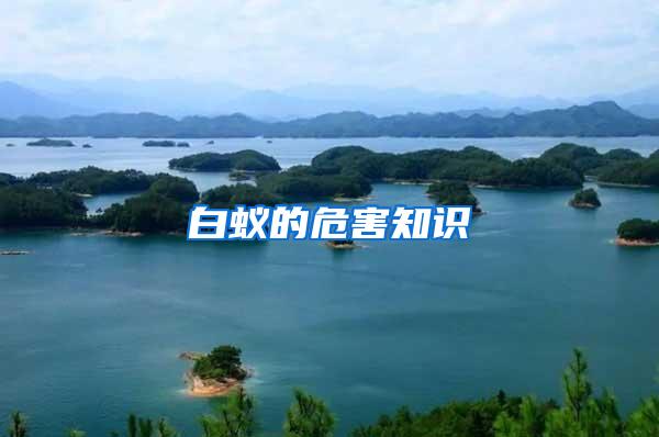 白蟻的危害知識