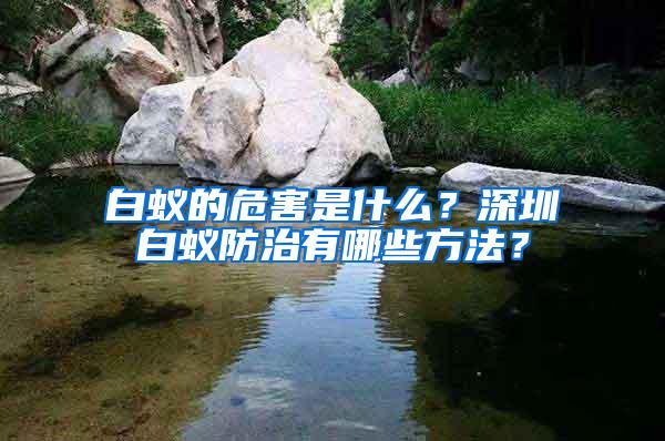 白蟻的危害是什么?深圳白蟻防治有哪些方法?