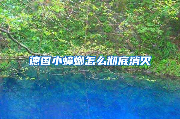 德國小蟑螂怎么徹底消滅