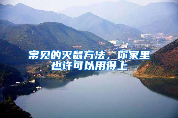 常見的滅鼠方法,你家里也許可以用得上