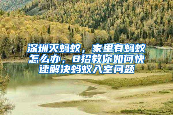 深圳滅螞蟻,家里有螞蟻怎么辦,8招教你如何快速解決螞蟻入室問(wèn)題
