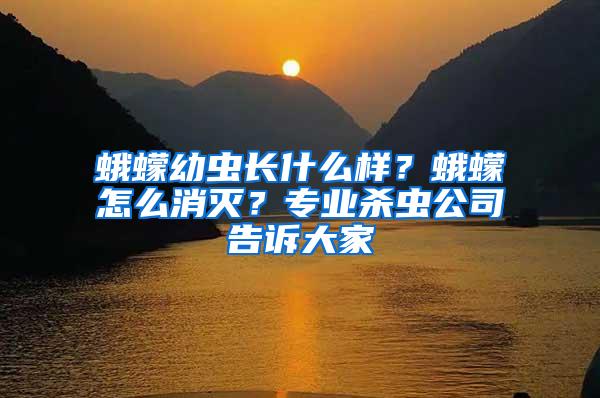 蛾蠓幼蟲長什么樣?蛾蠓怎么消滅?專業(yè)殺蟲公司告訴大家