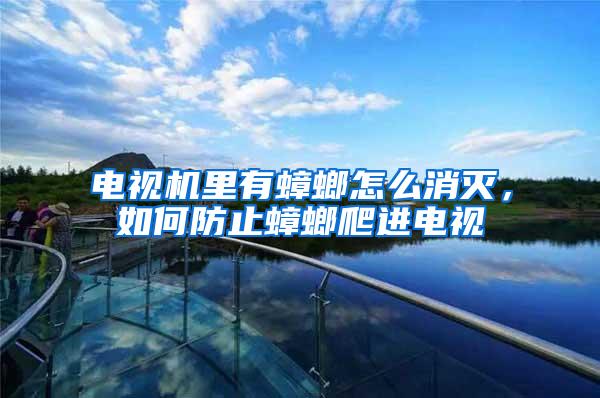 電視機里有蟑螂怎么消滅,如何防止蟑螂爬進電視