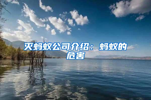 滅螞蟻公司介紹:螞蟻的危害