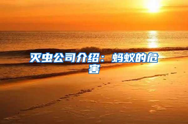滅蟲公司介紹:螞蟻的危害