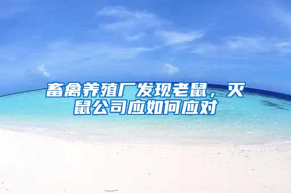 畜禽養殖廠發現老鼠，滅鼠公司應如何應對