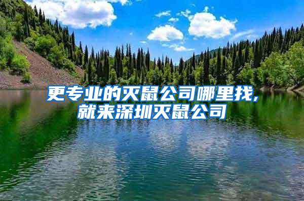 更專業的滅鼠公司哪里找,就來深圳滅鼠公司