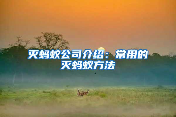 滅螞蟻公司介紹:常用的滅螞蟻方法