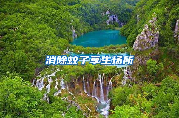 消除蚊子孳生場所