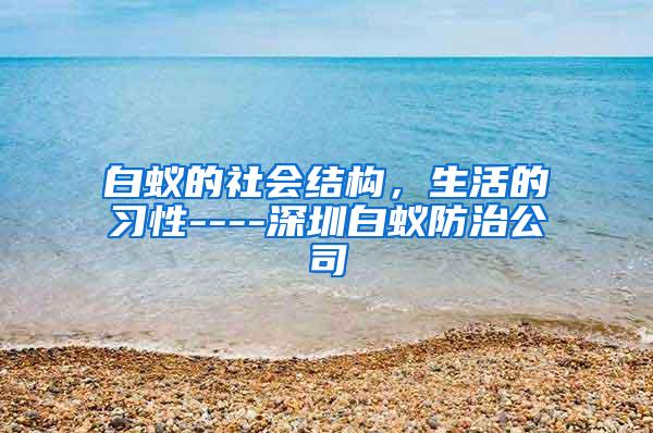 白蟻的社會結構,生活的習性----深圳白蟻防治公司