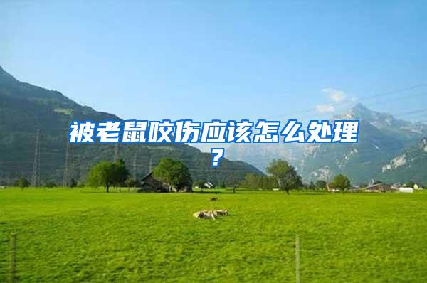 被老鼠咬傷應該怎么處理?