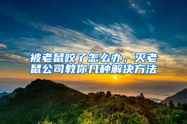 被老鼠咬了怎么辦,滅老鼠公司教你幾種解決方法