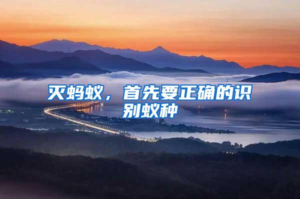 滅螞蟻,首先要正確的識別蟻種