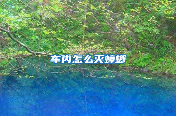 車內怎么滅蟑螂