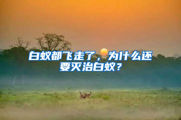 白蟻都飛走了，為什么還要滅治白蟻？