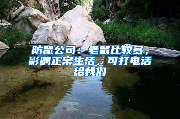 防鼠公司:老鼠比較多,影響正常生活,可打電話給我們