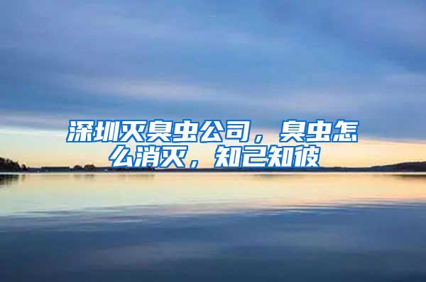 深圳滅臭蟲公司,臭蟲怎么消滅,知己知彼