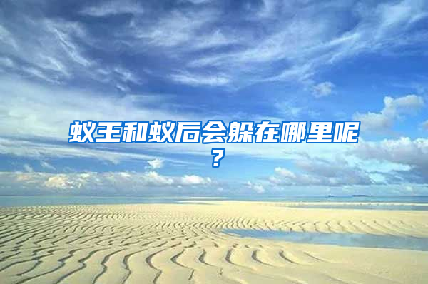 蟻王和蟻后會躲在哪里呢？