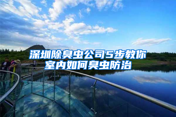 深圳除臭蟲公司5步教你室內如何臭蟲防治