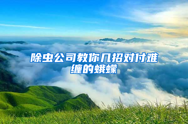 除蟲公司教你幾招對(duì)付難纏的蛾蠓