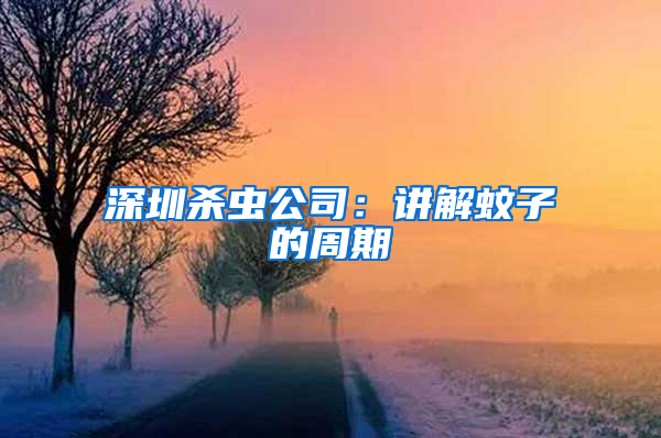 深圳殺蟲公司:講解蚊子的周期