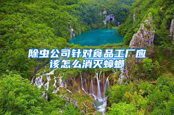 除蟲公司針對食品工廠應(yīng)該怎么消滅蟑螂