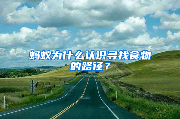 螞蟻為什么認識尋找食物的路徑?