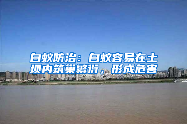 白蟻防治:白蟻容易在土壩內筑巢繁衍,形成危害