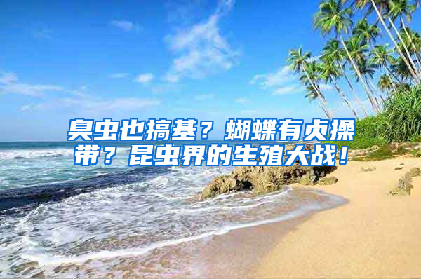 臭蟲(chóng)也搞基?蝴蝶有貞操帶?昆蟲(chóng)界的生殖大戰(zhàn)!