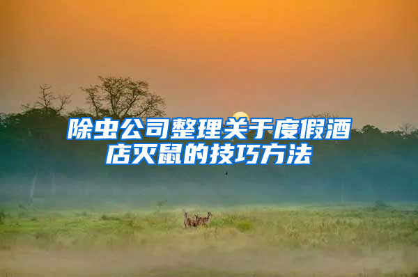 除蟲公司整理關于度假酒店滅鼠的技巧方法