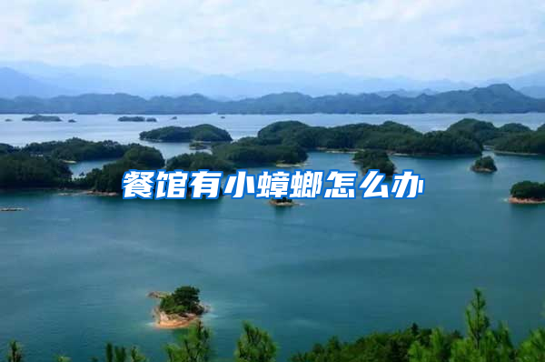 餐館有小蟑螂怎么辦