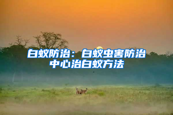 白蟻防治:白蟻蟲害防治中心治白蟻方法