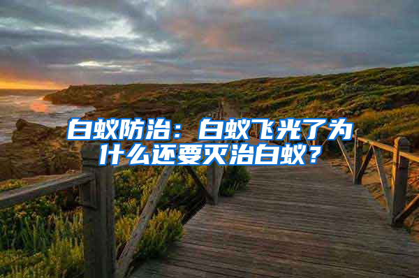 白蟻防治：白蟻飛光了為什么還要滅治白蟻？