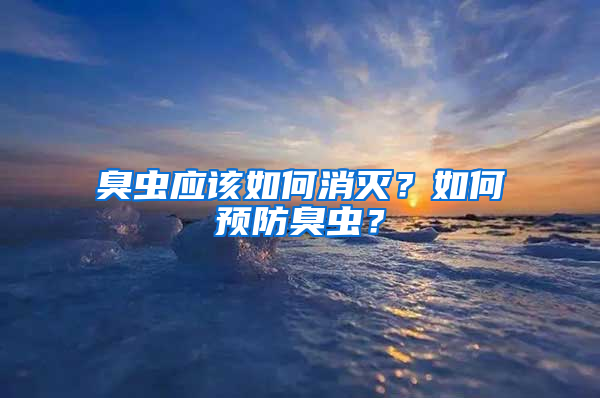 臭蟲應該如何消滅？如何預防臭蟲？