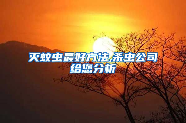 滅蚊蟲最好方法,殺蟲公司給您分析