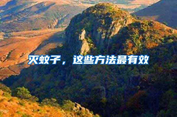 滅蚊子，這些方法最有效