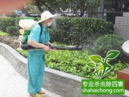 深圳白蟻防治公司 《深圳城市房屋白蟻防治管理規定》